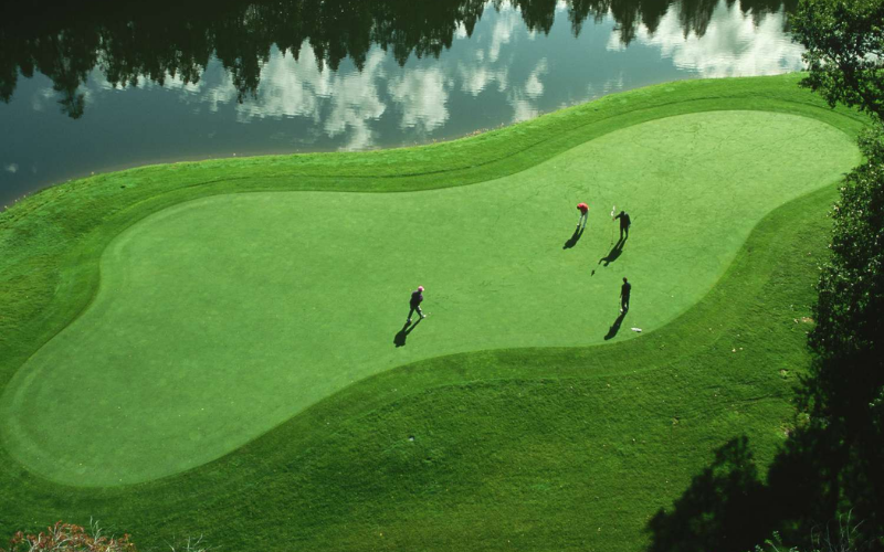 Luật đánh team trong golf (11)