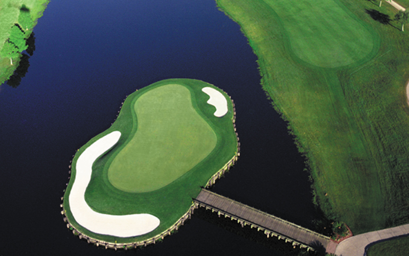 Water Hazard ( Bẫy nước ) (10)