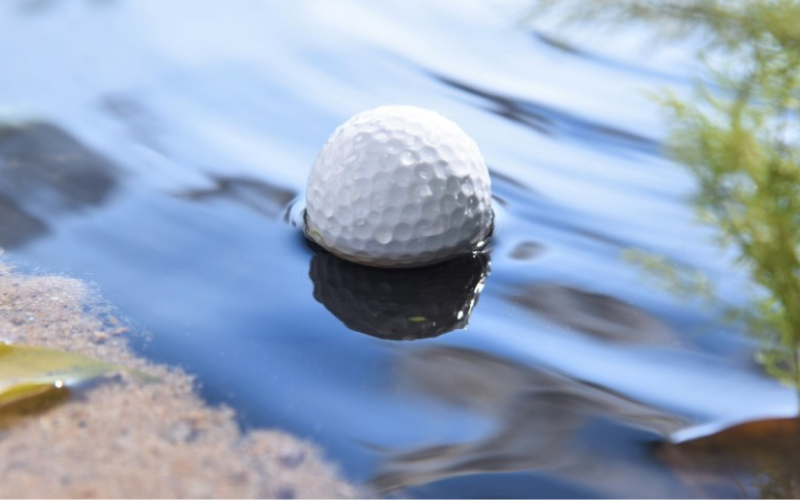 Water Hazard ( Bẫy nước ) (9)