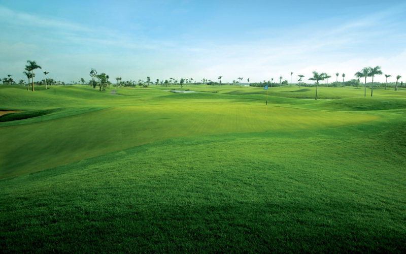 sân golf đại phước Taekwang Jeongsan Country Club (2)