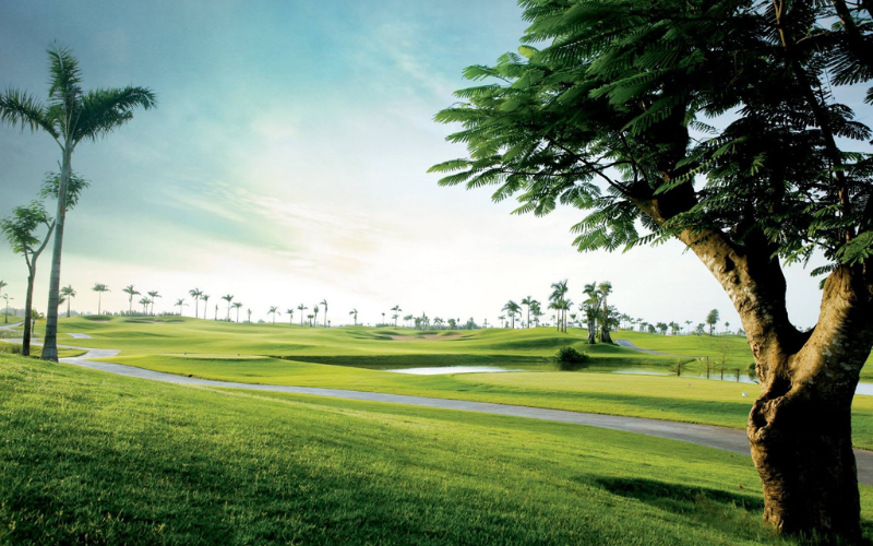 sân golf đại phước Taekwang Jeongsan Country Club (3)