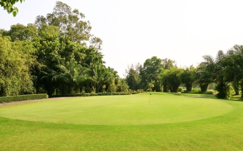 sân golf sông bé (5)